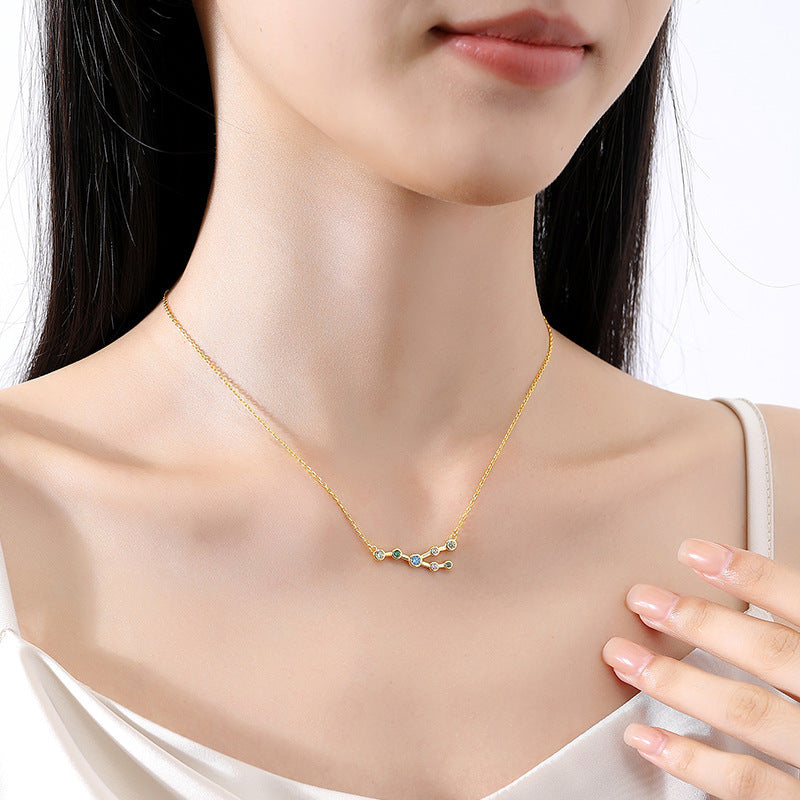 S925 Sterling Silver Twelve Constellation Zircon Necklace For Women