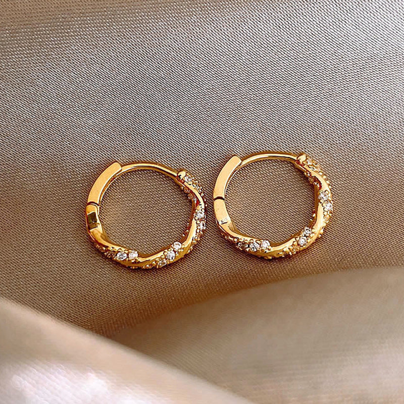 Niche Unique High-grade Ring Zircon Earrings