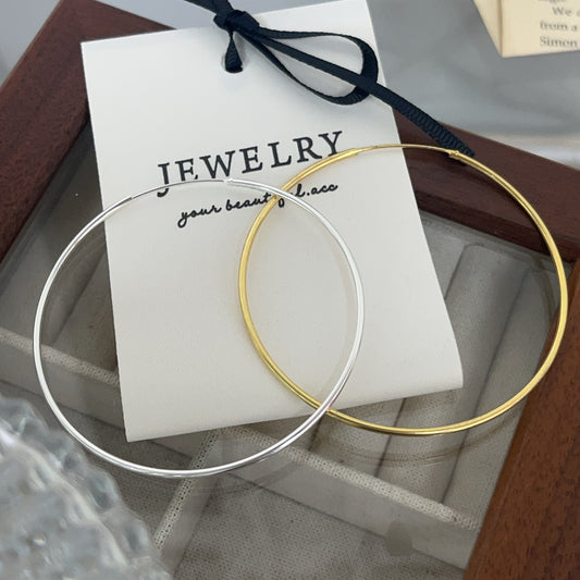 S925 Sterling Silver Earrings For Women