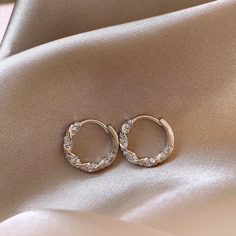 Niche Unique High-grade Ring Zircon Earrings